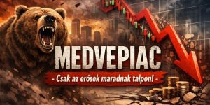 Bear market (medve piac) magyarul